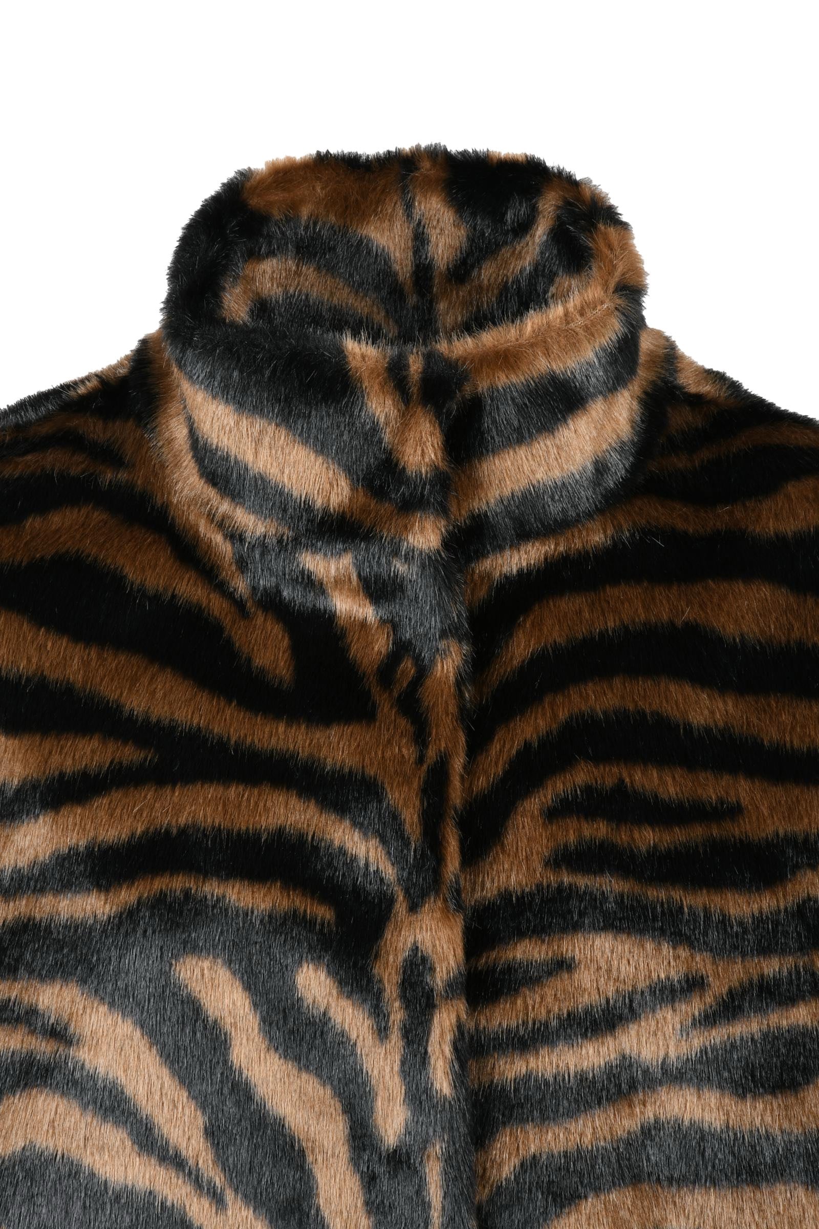 img-268254-1025-3