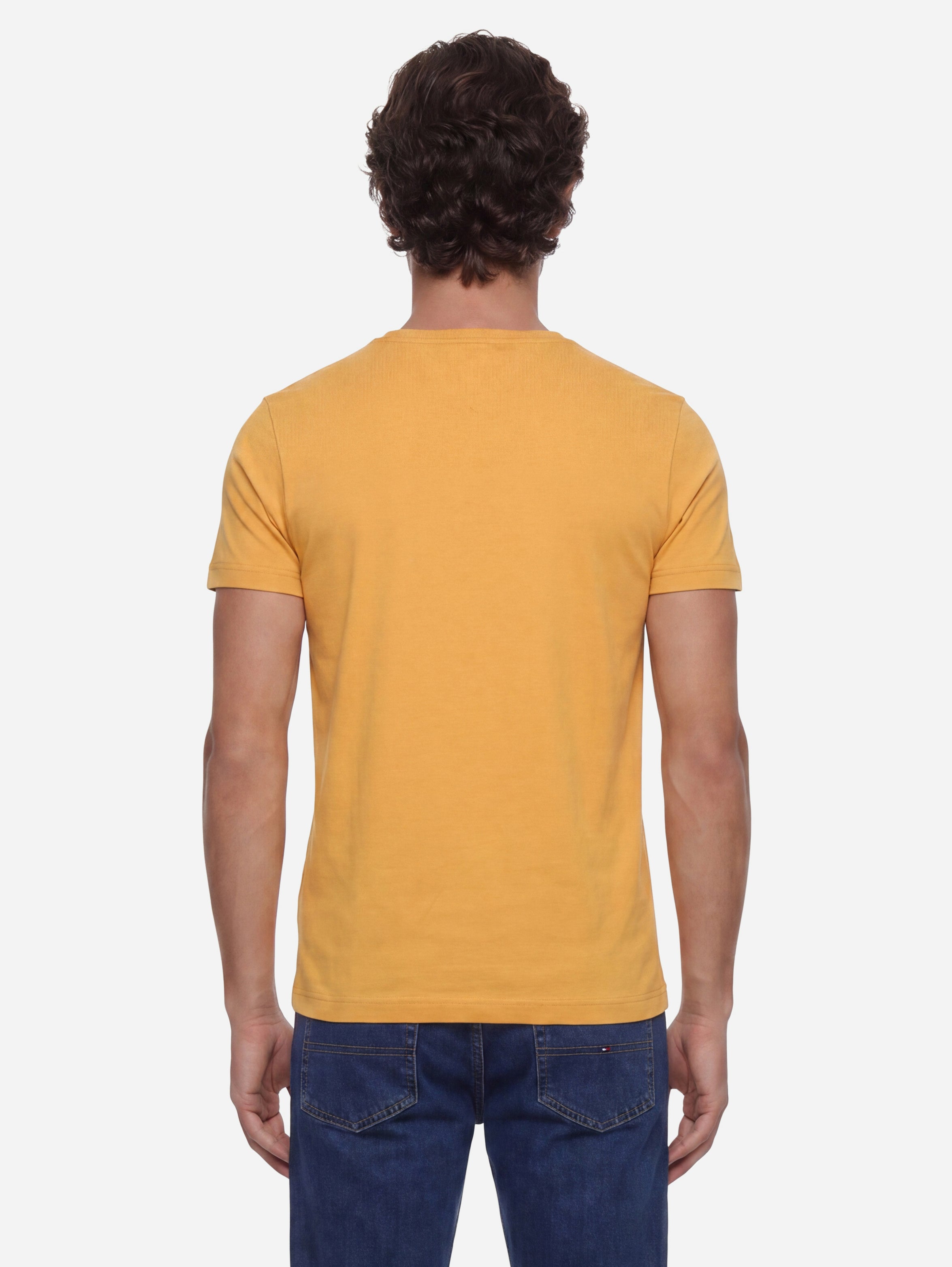 Tommy Hilfiger Tshirt Basica